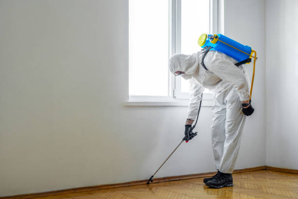 Best Mosquito Control Services  in USA